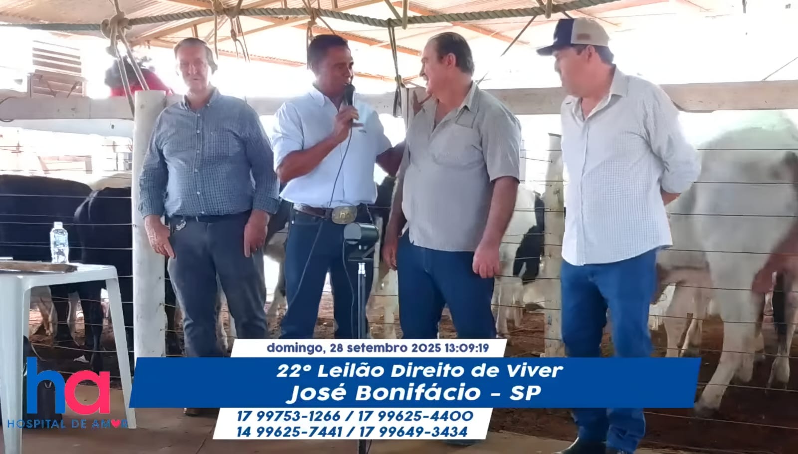 José Bonifácio (SP)