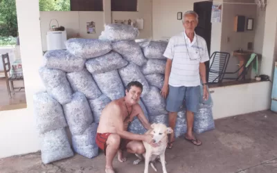 Uchoa-SP