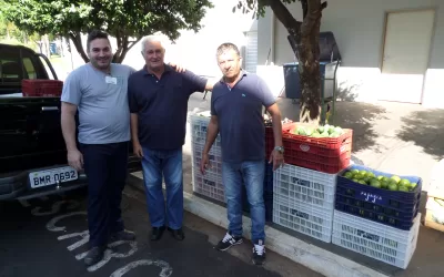 Jales – SP