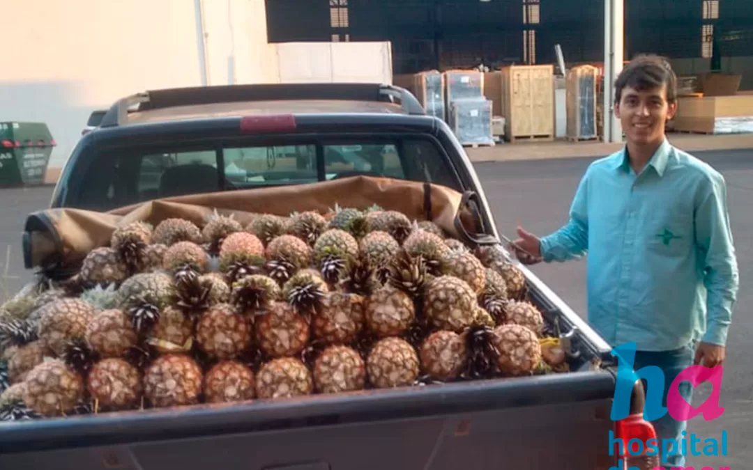 Aparecida de Minas – MG