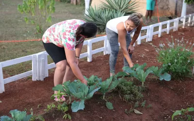 Hospital de Amor desenvolve horta comunitária para pacientes e seus familiares