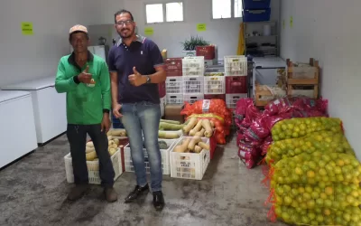 Palmeira D’Oeste – SP