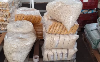 Monte Alegre de Minas – MG