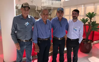 Santa Fé do Sul – SP