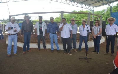 Santa Rita do Araguaia – GO