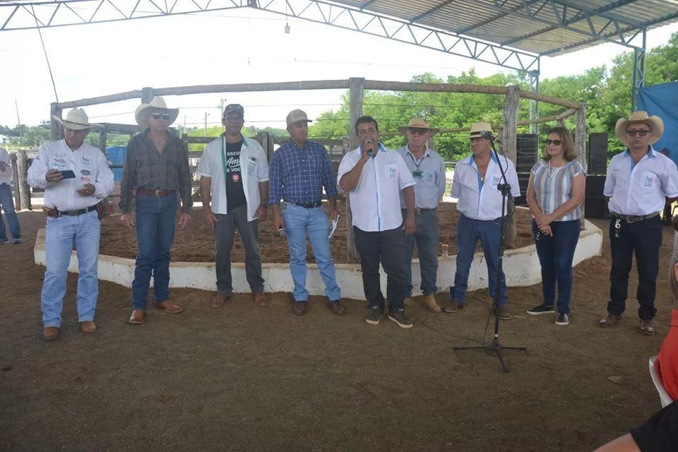 Santa Rita do Araguaia – GO