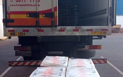 Nova Aliança – SP