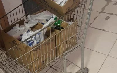 Santa Cruz dos Palmares – SP