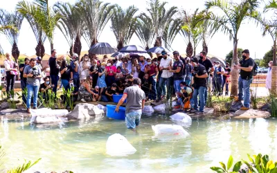 Jardim de Amor: espaço sensorial no HA é construído com apoio de empresas e artistas