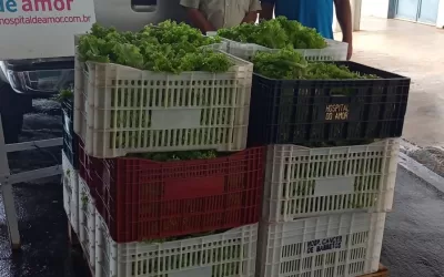 Monte Verde Paulista – SP