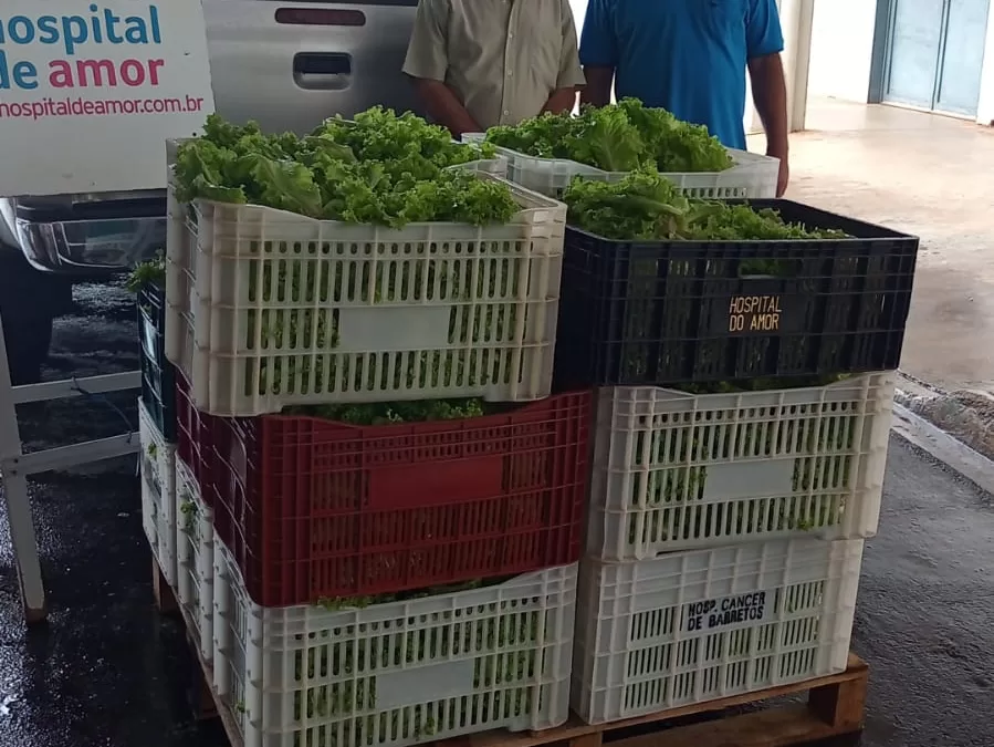 Monte Verde Paulista – SP