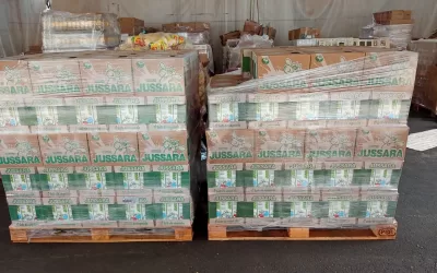 Ribeirão Preto – SP