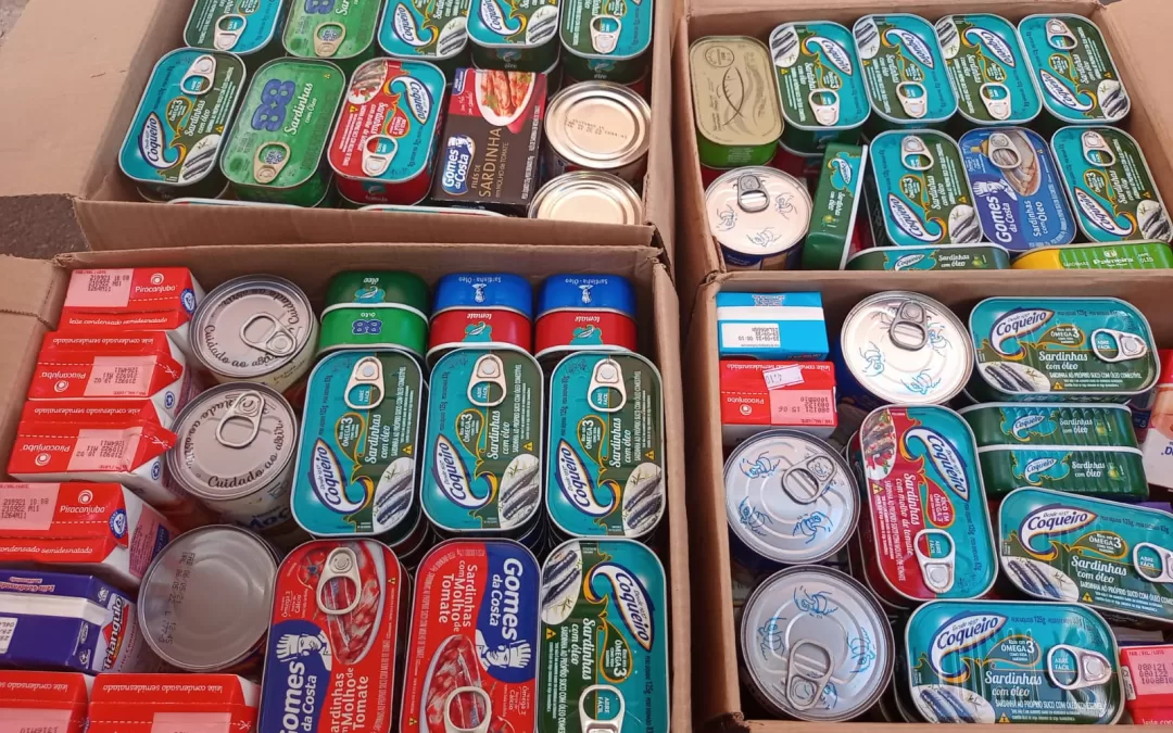 São José de Castilho – SP