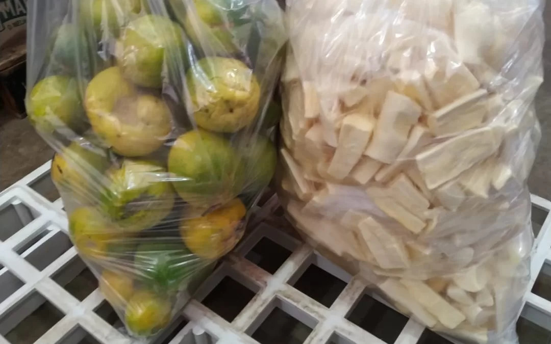 Porto Ferreira – SP