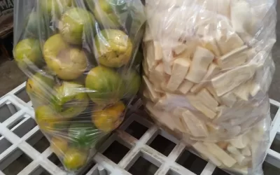 Porto Ferreira – SP