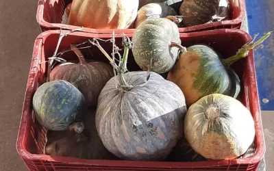 Três Corações – MG