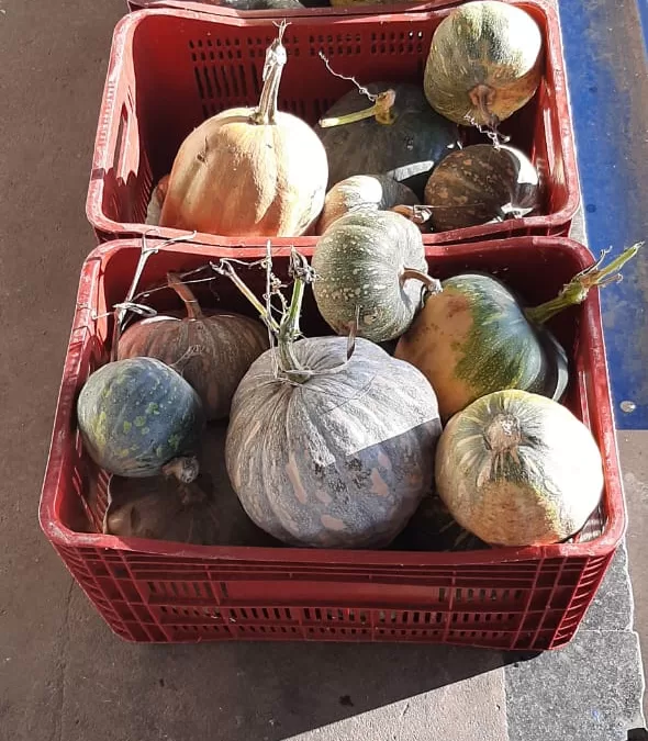 Três Corações – MG