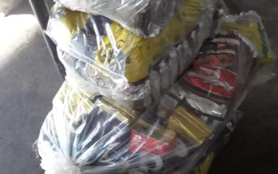 Paulo de Faria – SP