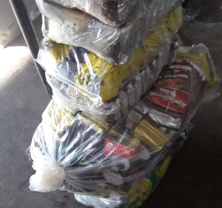 Paulo de Faria – SP