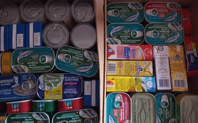 São José de Castilho – SP