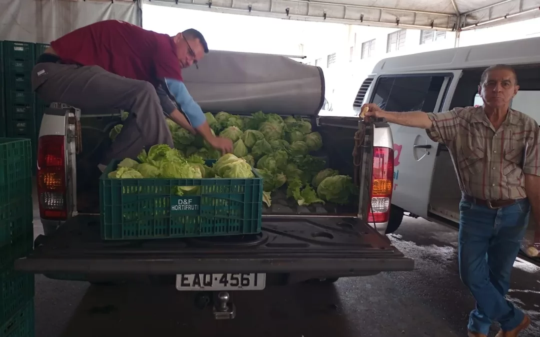 Monte Verde Paulista – SP