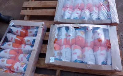 Nova Aliança – SP