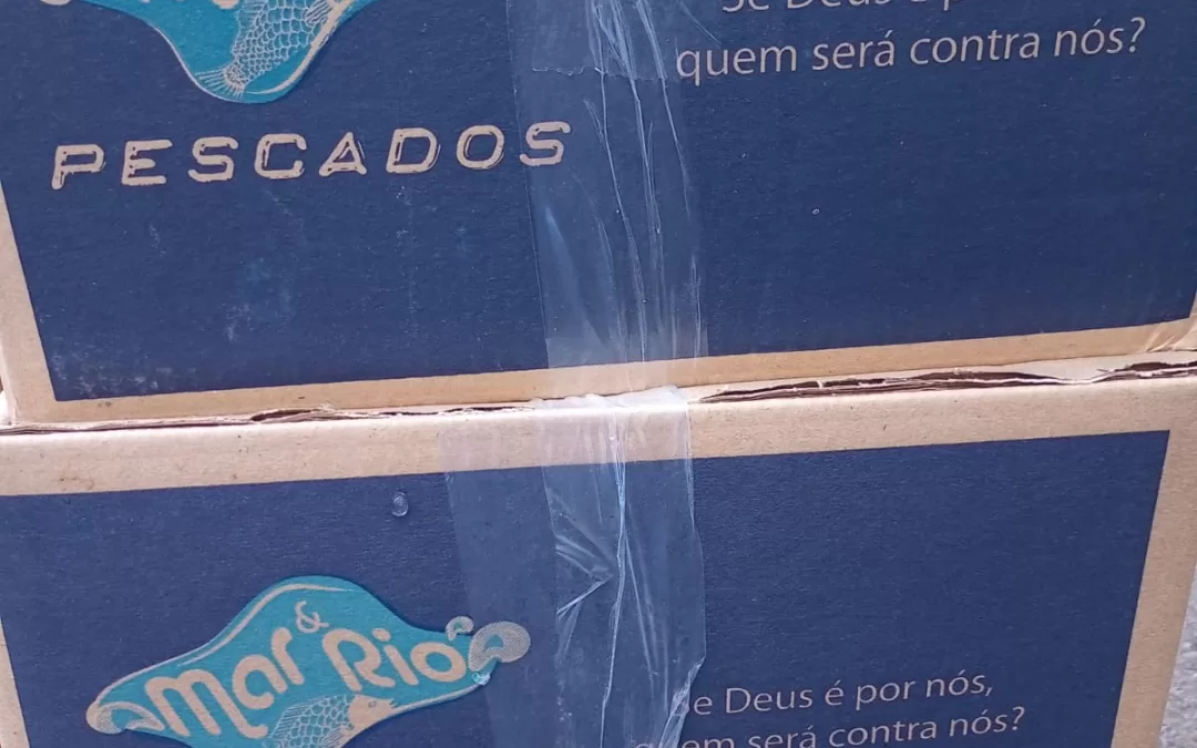 São José do Rio Preto – SP