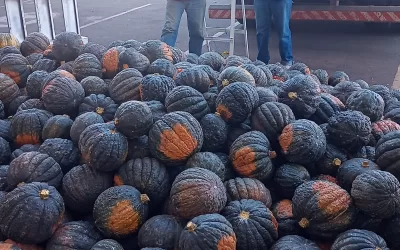 Álvares Florence – SP