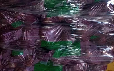 Rio Paranaíba – MG