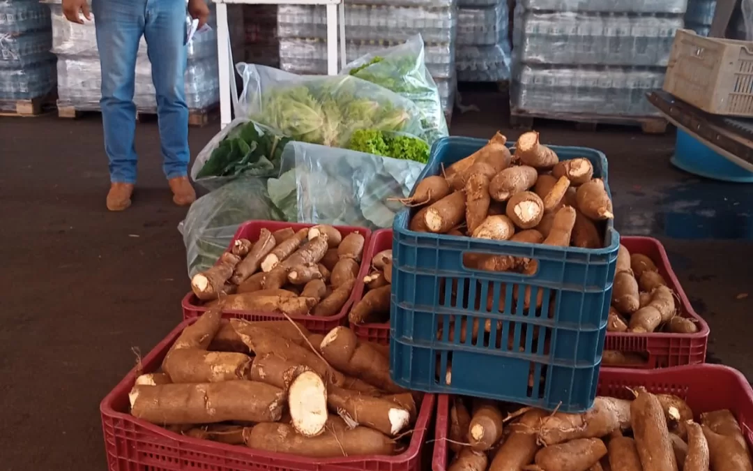 Guaíra – SP