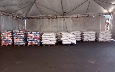 Chapadão do Sul -MS