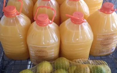 São José do Rio Preto – SP