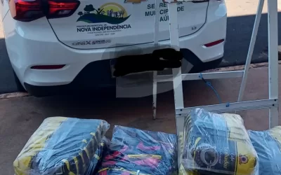 Nova independência – SP