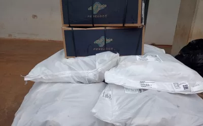 São José do Rio Preto – SP