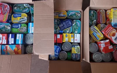 São José de Castilho – SP