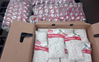 Santa Fé do Sul – SP