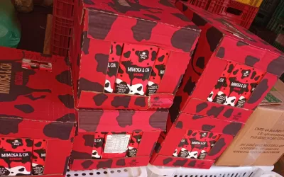 São Joaquim da Barra – SP