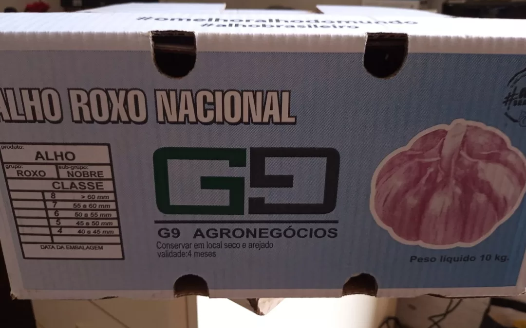 Campo Alegre – GO