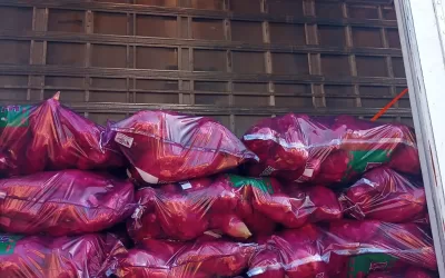 Presidente Prudente – SP