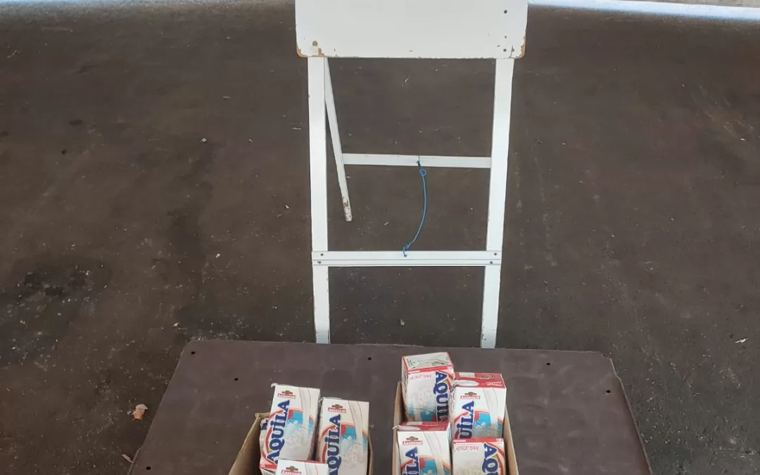 Porto Ferreira – SP