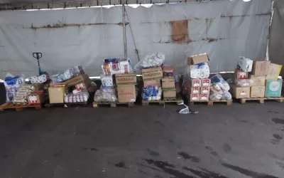 São Francisco de Sales – SP