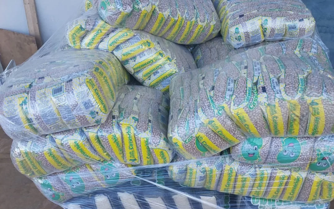 Ribeirão Preto – SP