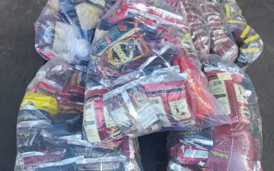 Paulo de Faria – SP