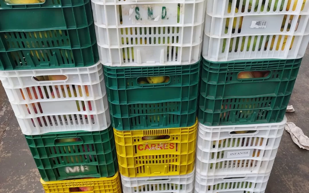 Vista Alegre do Alto – SP