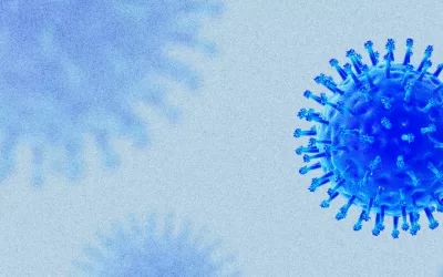 Como infecções estão associadas ao desenvolvimento do câncer