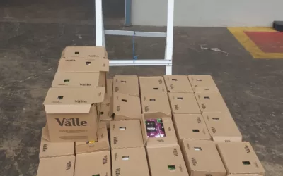 Ribeirão Preto – SP