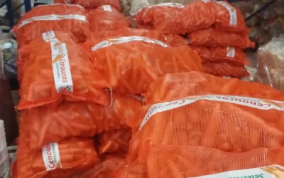 Santa Juliana – MG