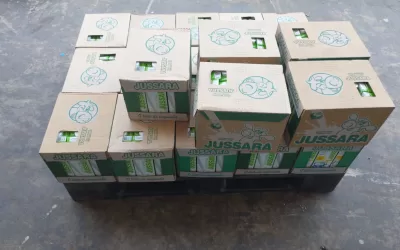 São José da Bela Vista – SP