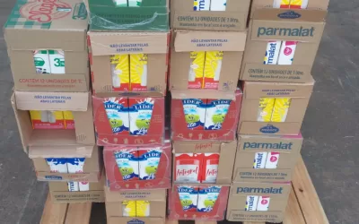 Palmares Paulista – SP