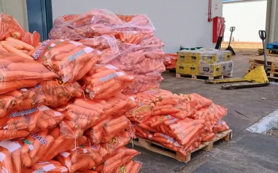 Santa Juliana – MG